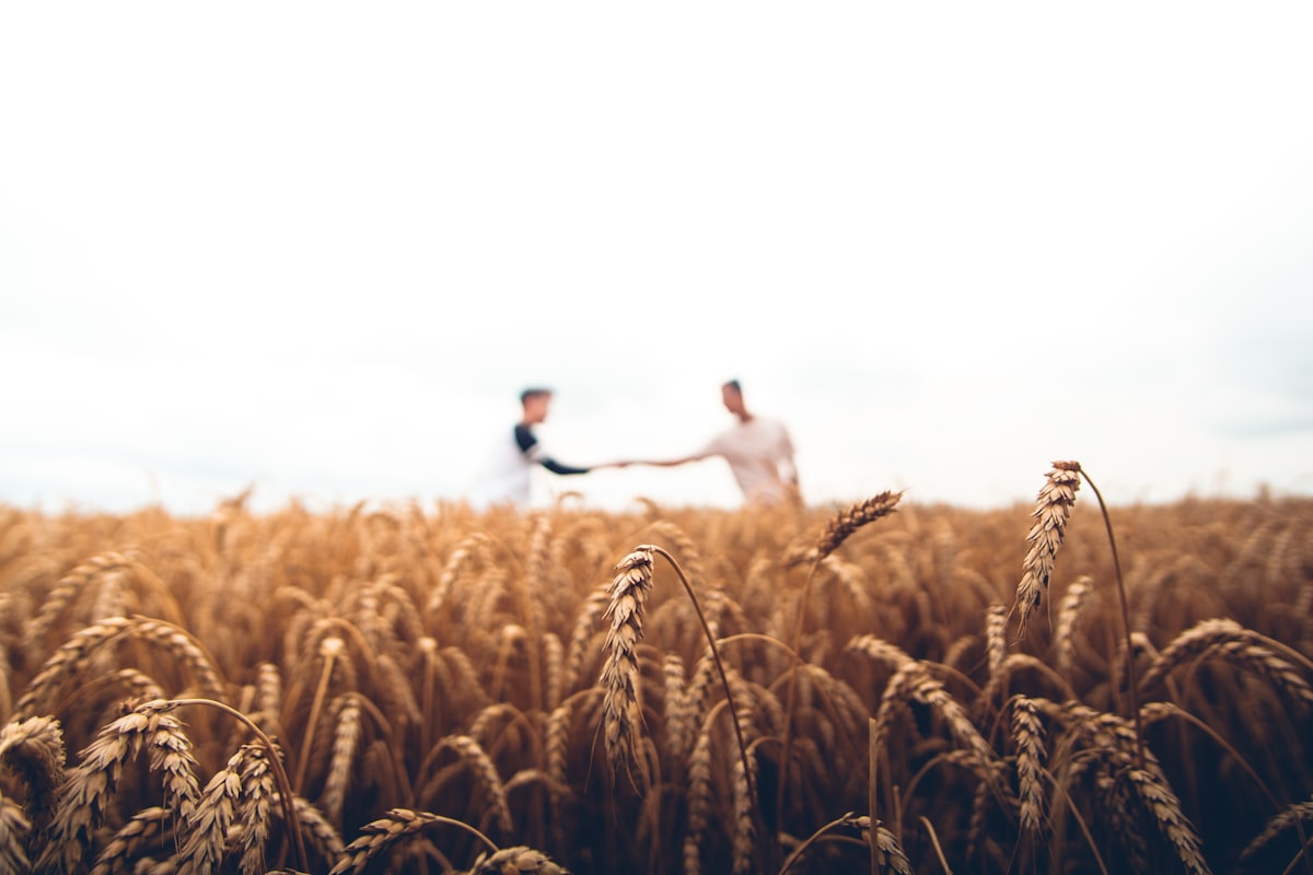Farmers working in a field